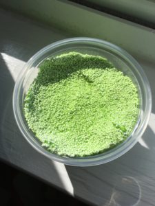 container of homemade green slime