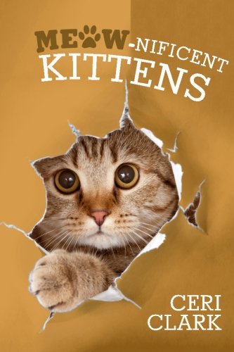 Meow-nificent Kittens: The Secret Personal Internet Address & Password Log Book for Kitten & Cat Lovers (Disguised Password Book Series)