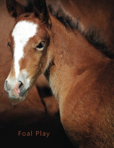 Foal Play: A discreet internet password organizer (Disguised Password Book Series)