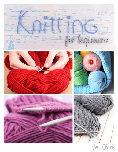 Password Book (Knitting for Beginners): A discreet internet password organizer (Disguised Password Books)