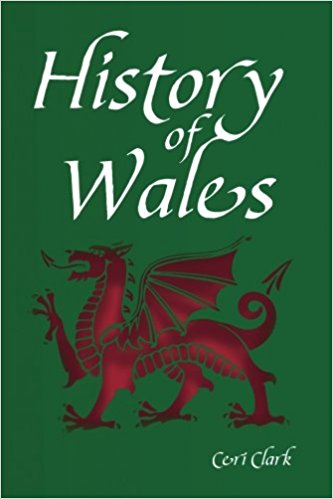 History of Wales: A Discreet Password Book for People Who Love Wales (Disguised Password Book Series)