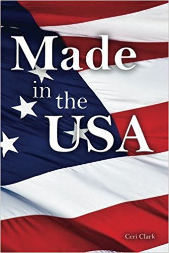 Made in the USA: A Discreet Internet Password Book for People Who Love the USA (Disguised Password Book Series)