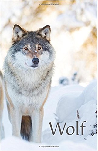 Wolf: A discreet password book for people who love wolves (Disguised Password Book Series)